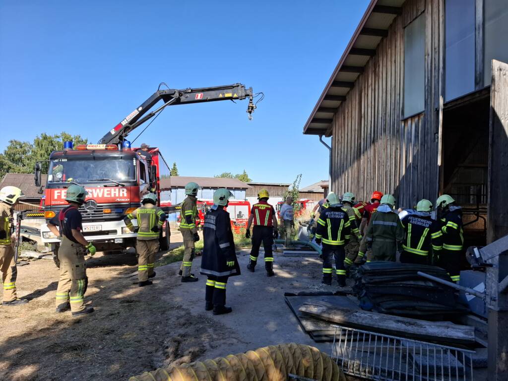 19.08.2025 Rettung Großtier